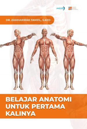 Belajar Anatomi Untuk Pertama Kalinya